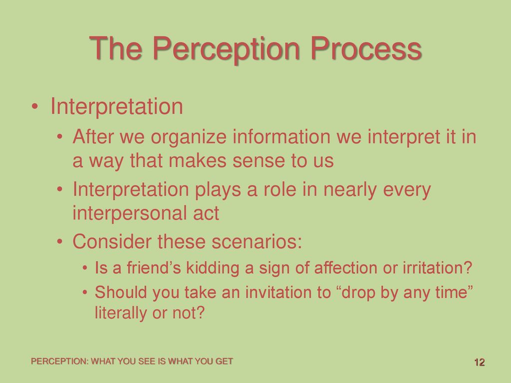 Perception Chapter topics The Perception Process - ppt download