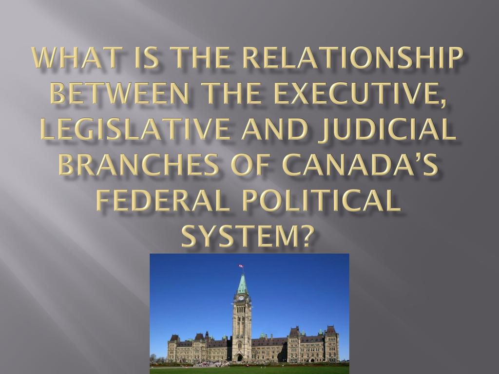 What is the relationship between the executive, legislative and