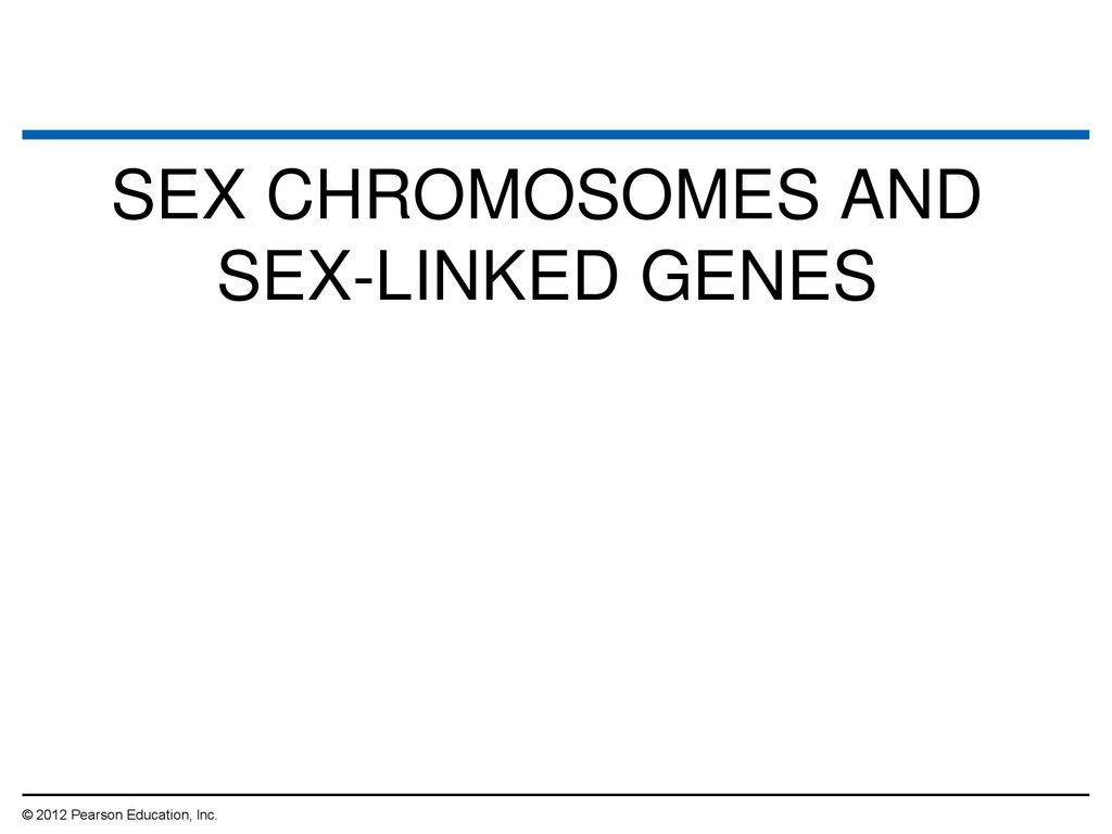 SEX CHROMOSOMES AND SEX-LINKED GENES