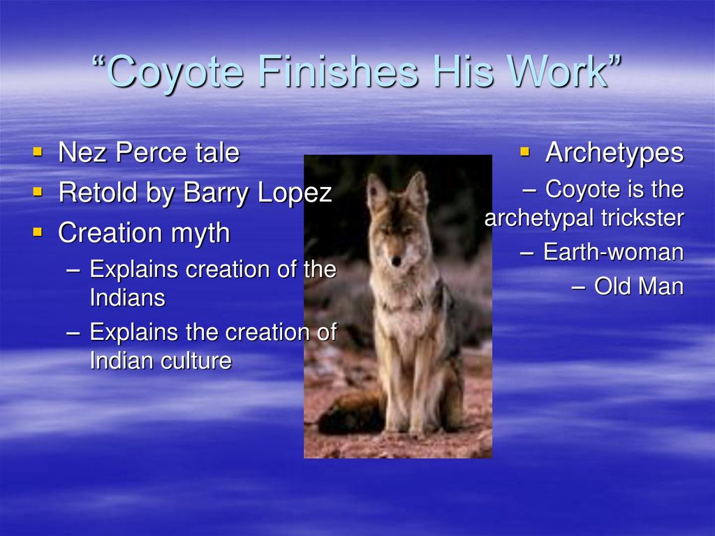 Native American Literature - ppt download