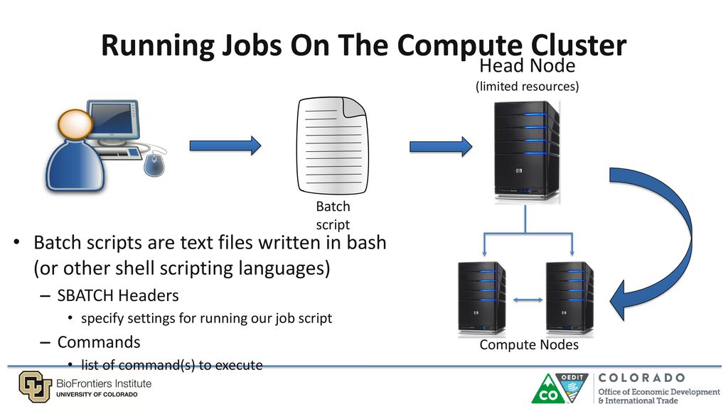 Short read sequencing analysis workshop ppt download