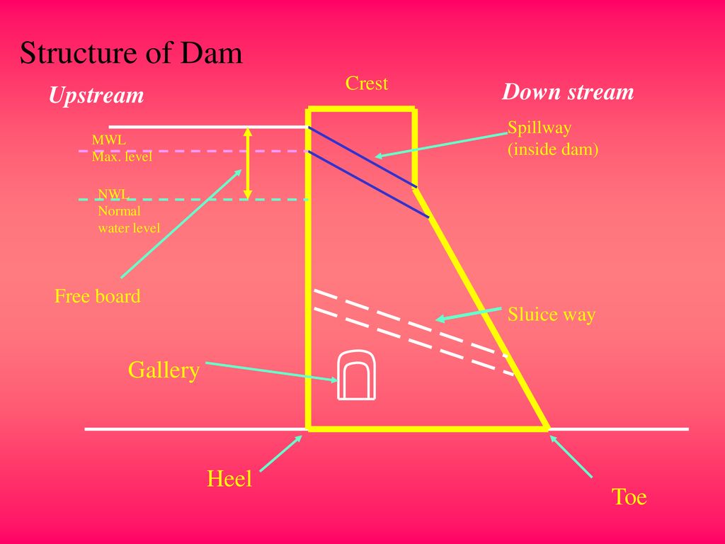 Problem idealization of dam-reservoir-foundation coupled system | Download  Scientific Diagram