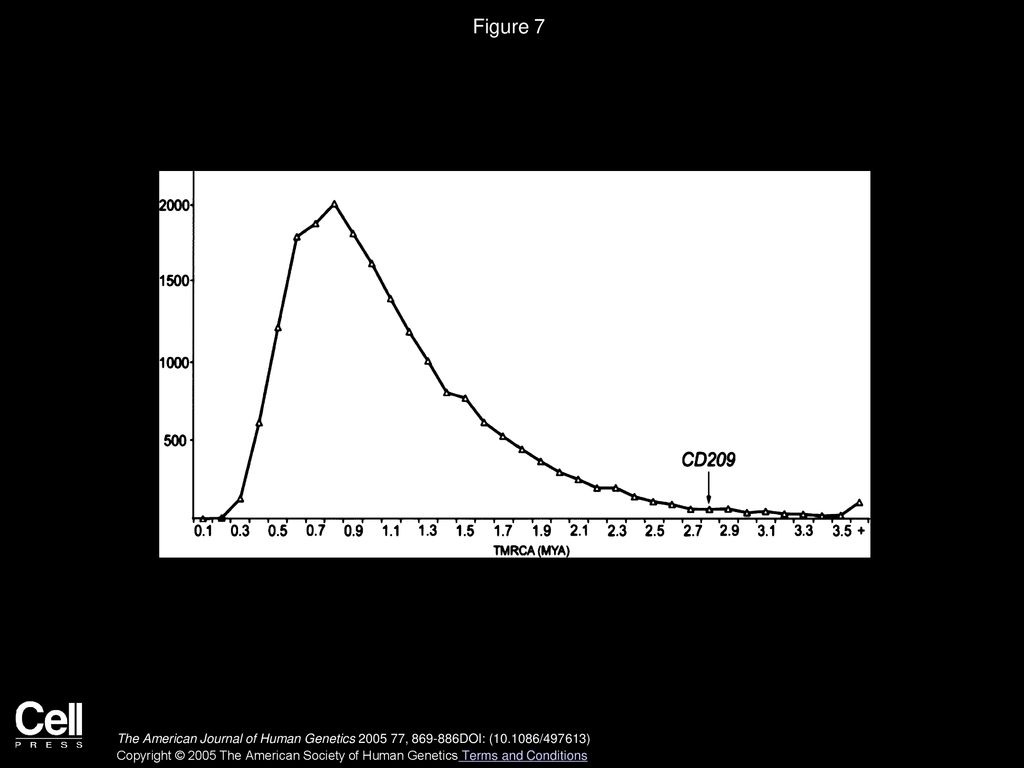 Figure 7 Coalescent-based simulations (2×104) of the expected TMRCA distribution of CD209.