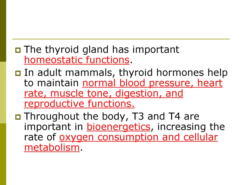 Endocrine system ppt download