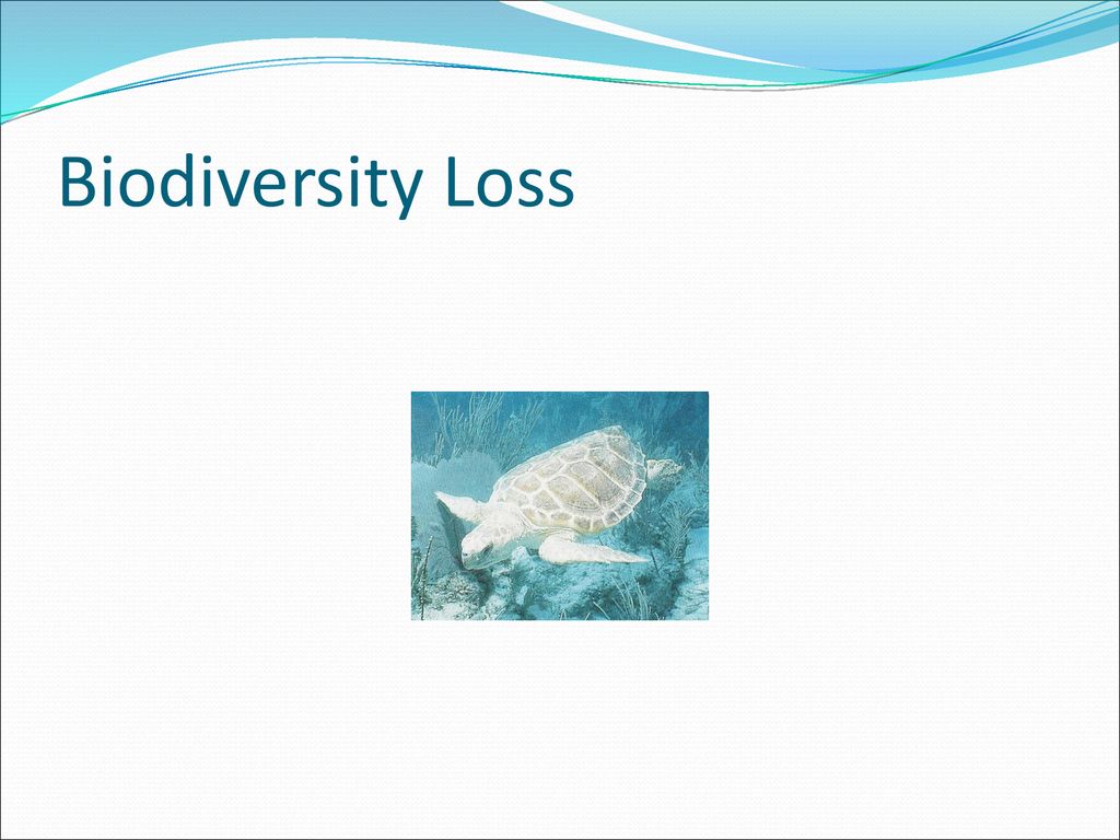 Biological Diversity and Conservation - ppt download