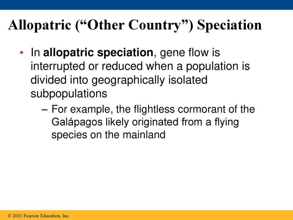 Allopatric ( Other Country ) Speciation