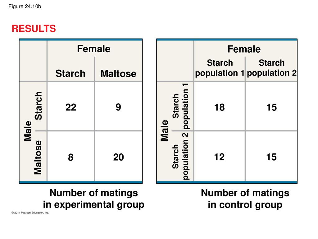 RESULTS Female Female Starch Maltose Male
