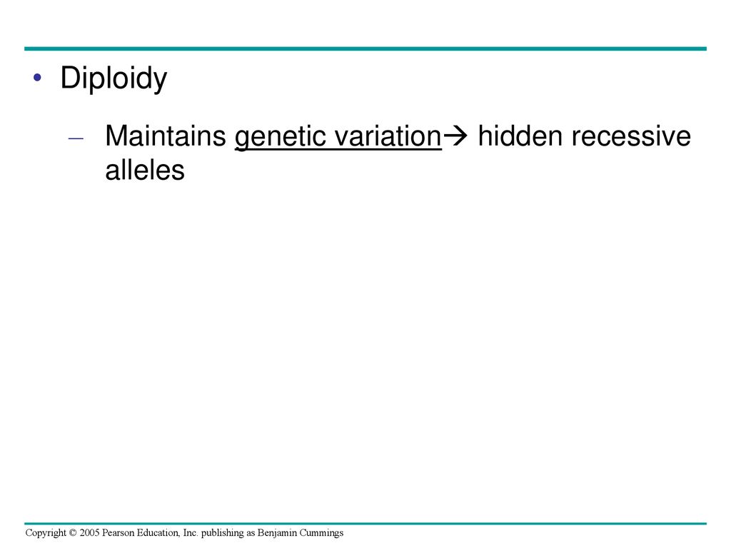 Diploidy Maintains genetic variation hidden recessive alleles