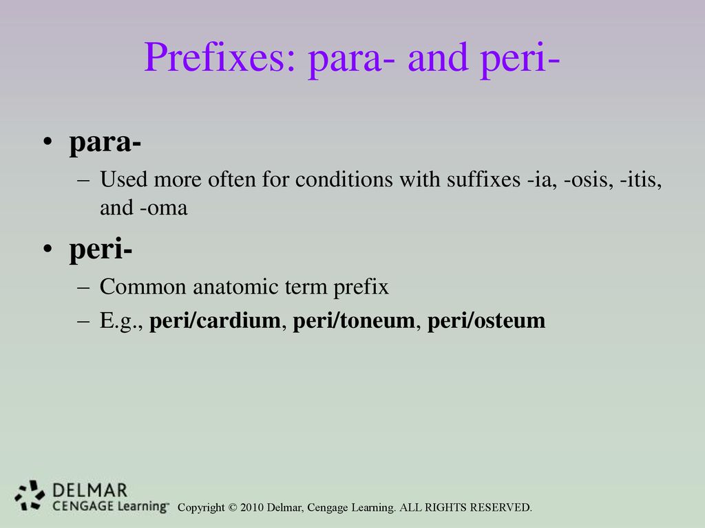 Unit 10 Surgery, Diabetes, Immunology, Lesions, and Prefixes of Numbers and  Direction. - ppt download