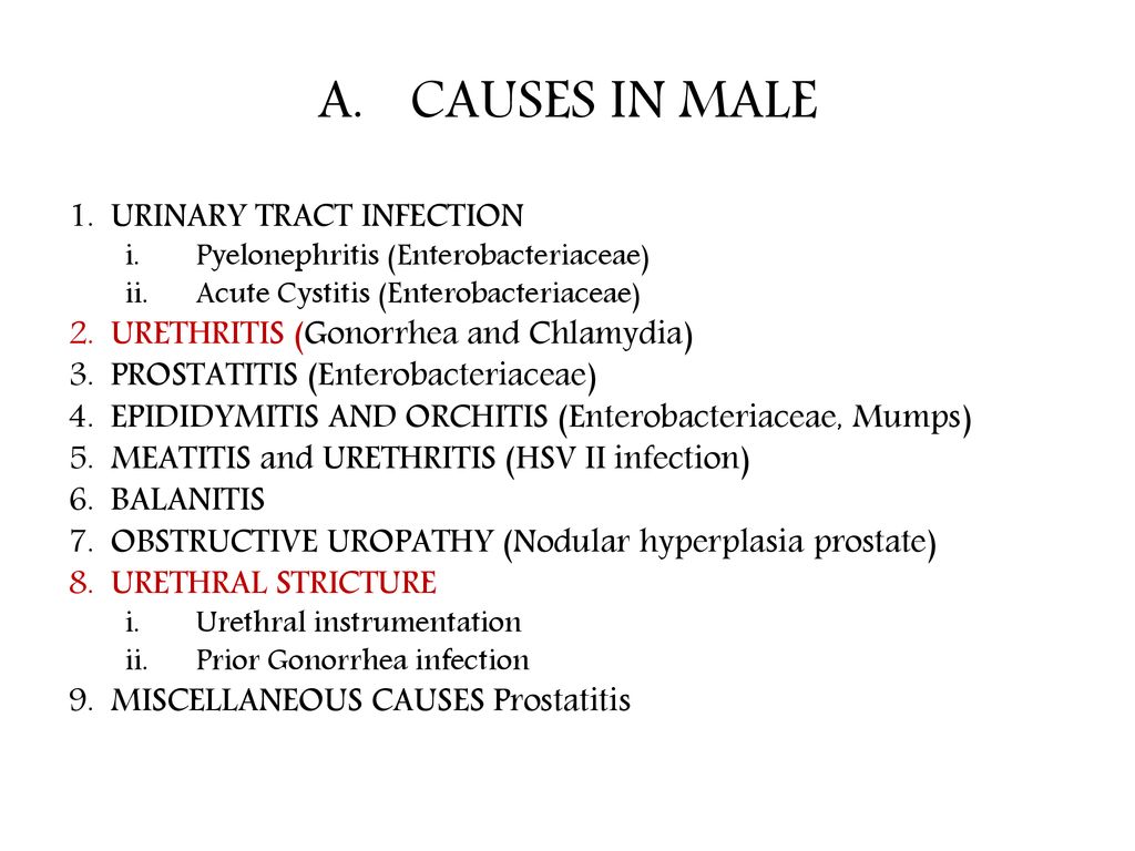 a prostatitis urethritis egyik oka)