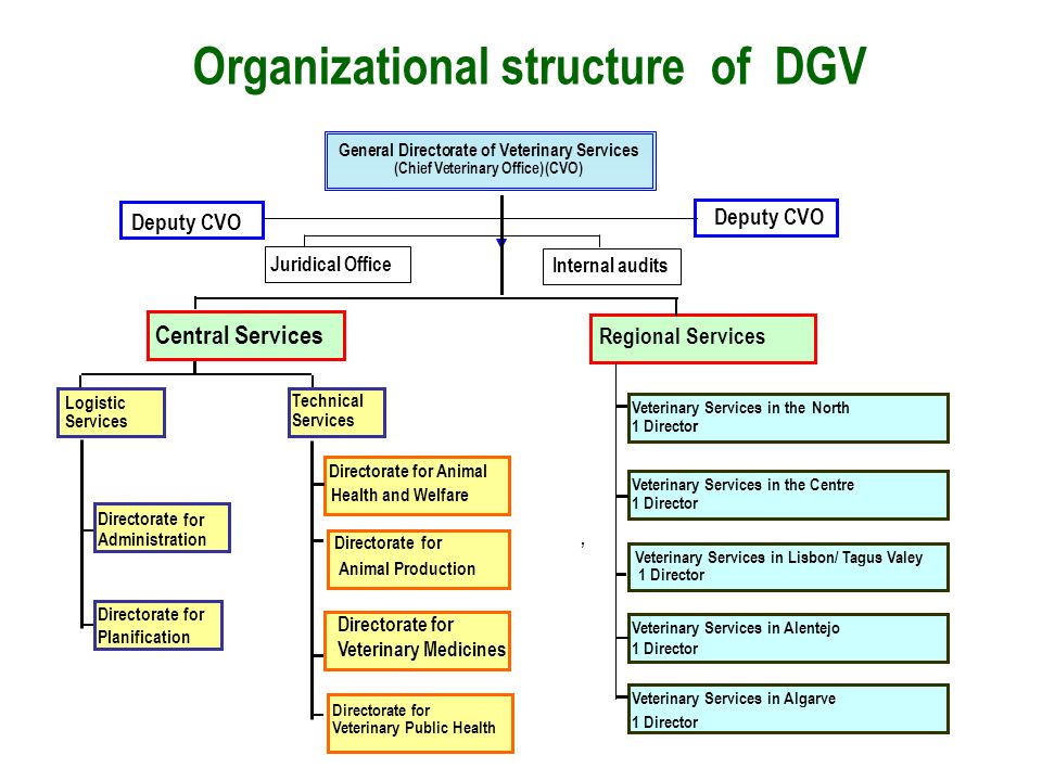 Veterinary Organizational Chart
