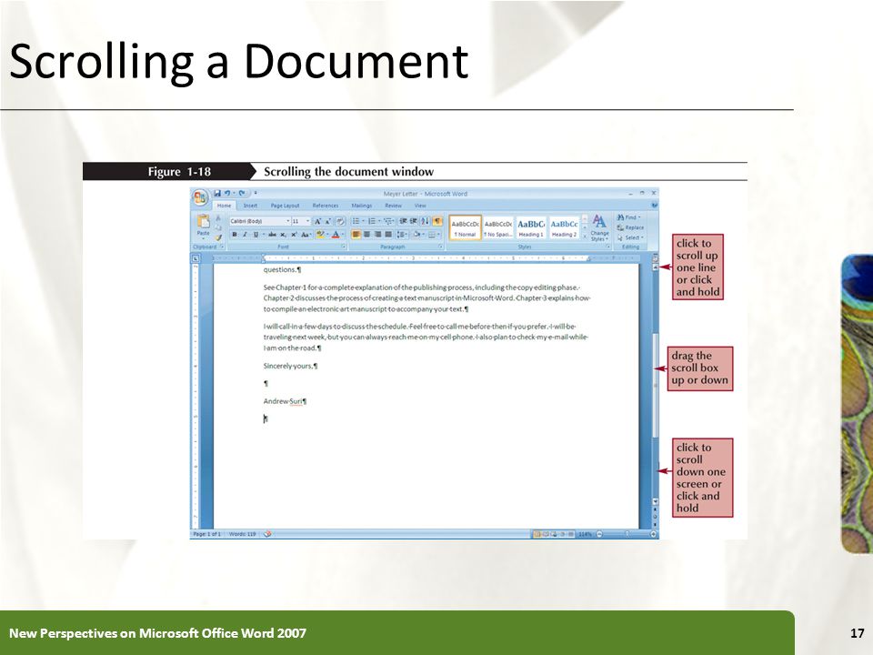 Scrolling a Document New Perspectives on Microsoft Office Word 2007