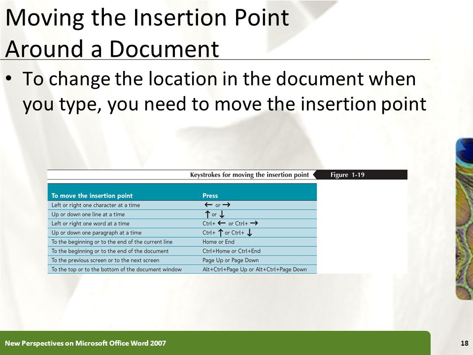 Moving the Insertion Point Around a Document