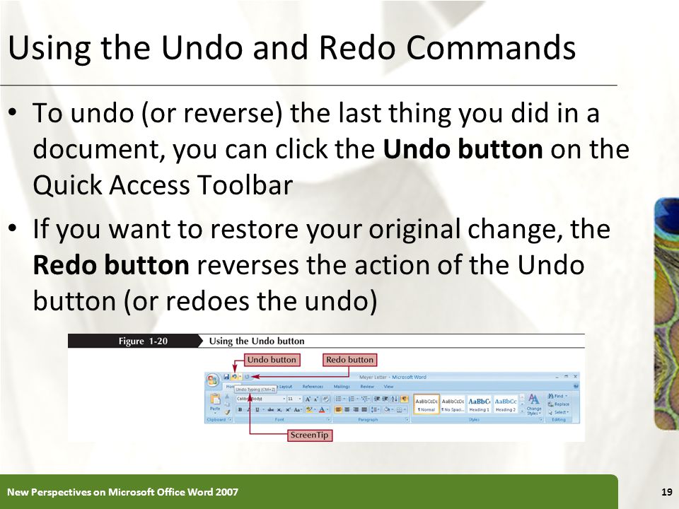 Using the Undo and Redo Commands