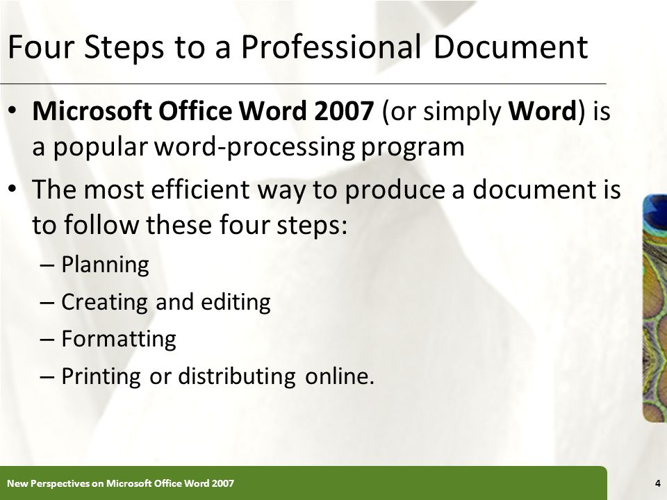 Four Steps to a Professional Document