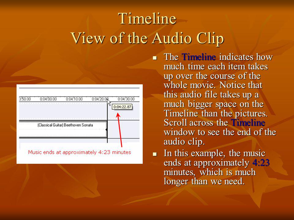 Timeline View of the Audio Clip