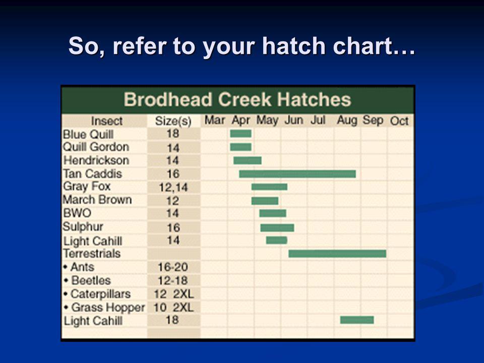Beaverkill Hatch Chart