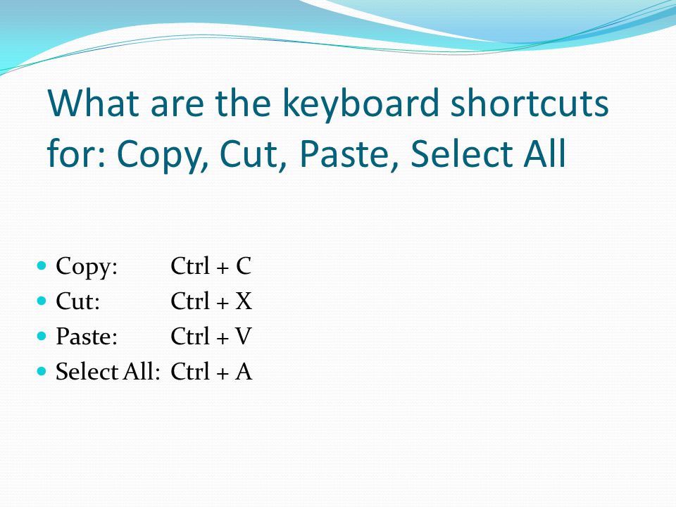 What are the keyboard shortcuts for: Copy, Cut, Paste, Select All