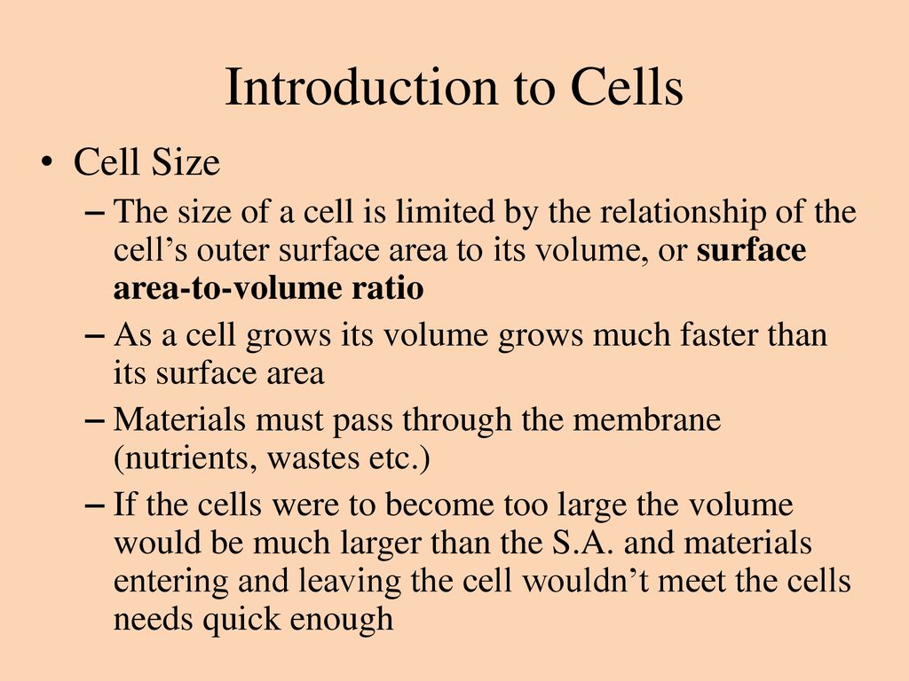 Introduction to Cells Cell Size