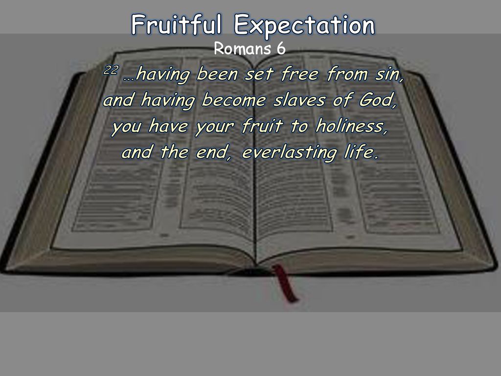 Fruitful Expectation 22 …having been set free from sin,