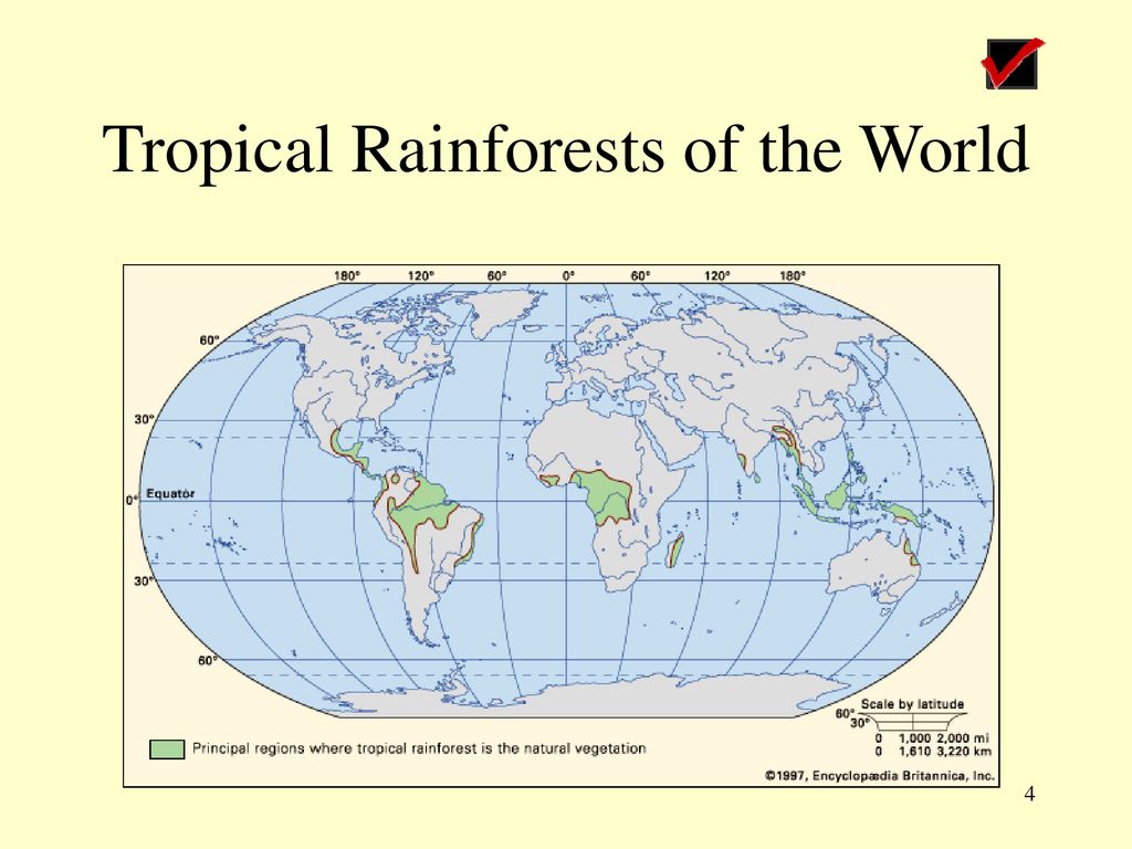 Natural Resources. - ppt download