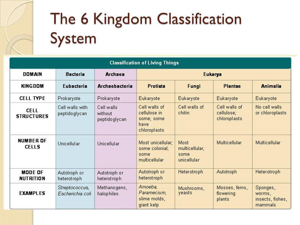 Linnaeus Classification System Chart