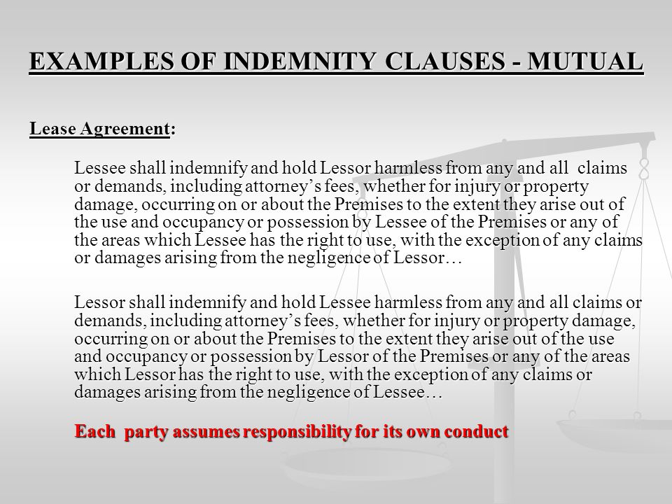 Indemnity clause in it contracts
