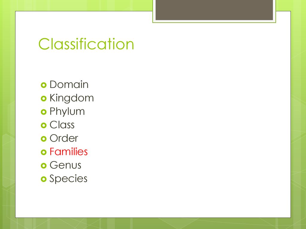 Estimated 620 Plant Families - Ppt Download