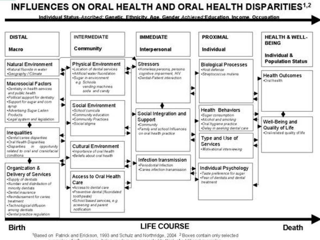 Image result for dental health depicts overall health"