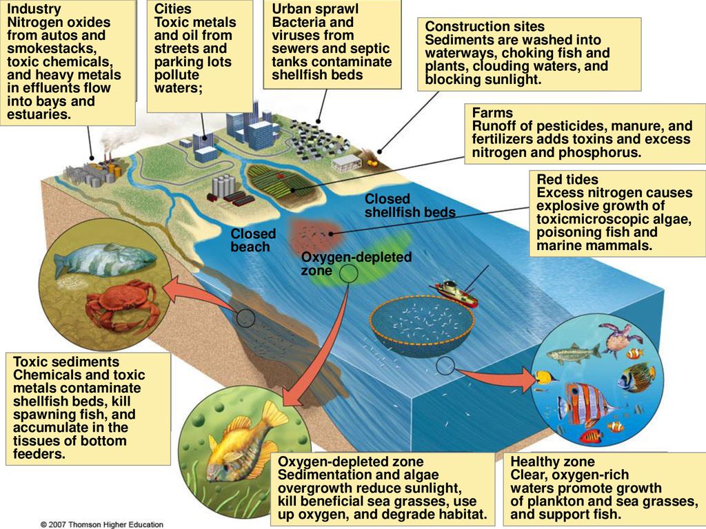 Chapter 21 Water Pollution. ppt download