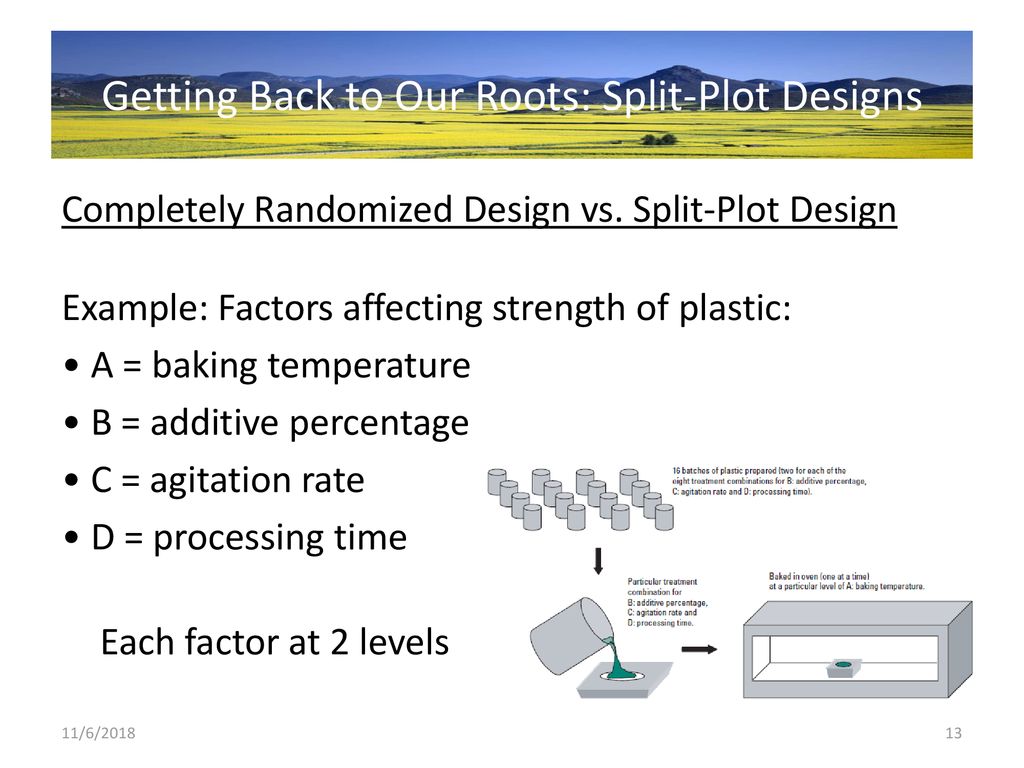 Getting Back To Our Roots Ppt Download split-plot-design-very-basic-introduction-youtube
