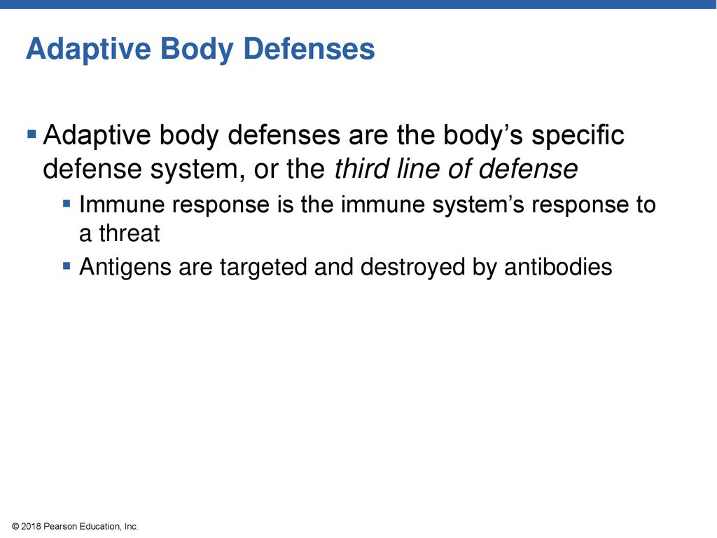 Lymphatic System © 2018 Pearson Education, Inc.. - ppt download