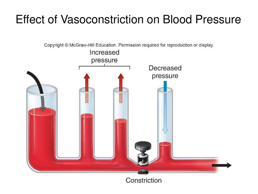 lecture-22-blood-pressure-ppt-download