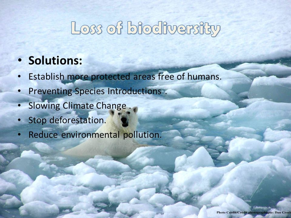 Loss of biodiversity Solutions: