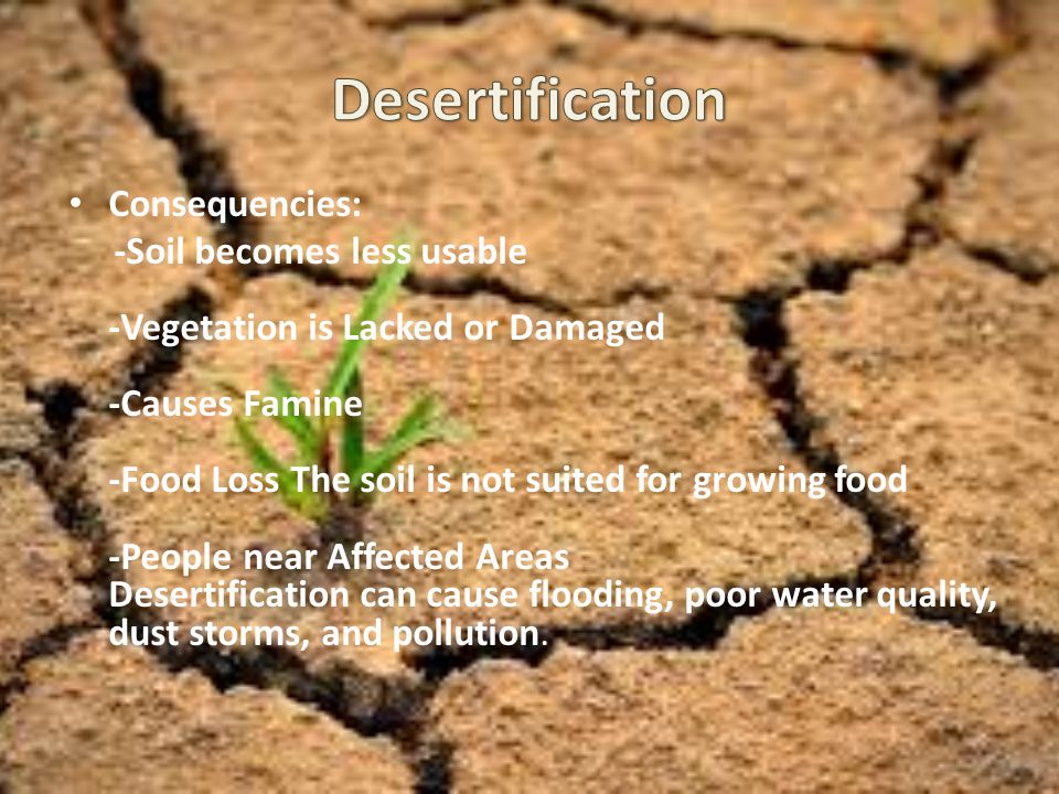 Desertification Consequencies: