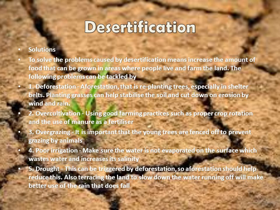 Desertification Solutions