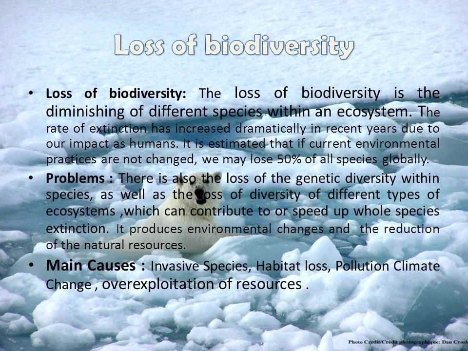 Loss of biodiversity