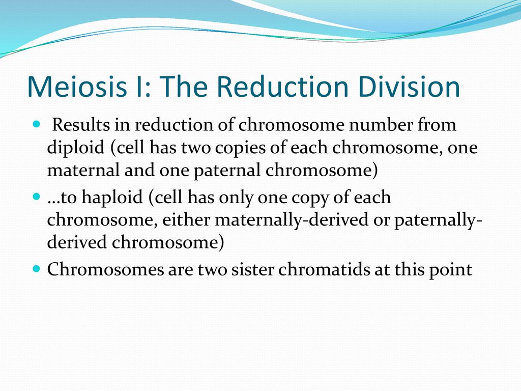 ppt download Biology Diagrams