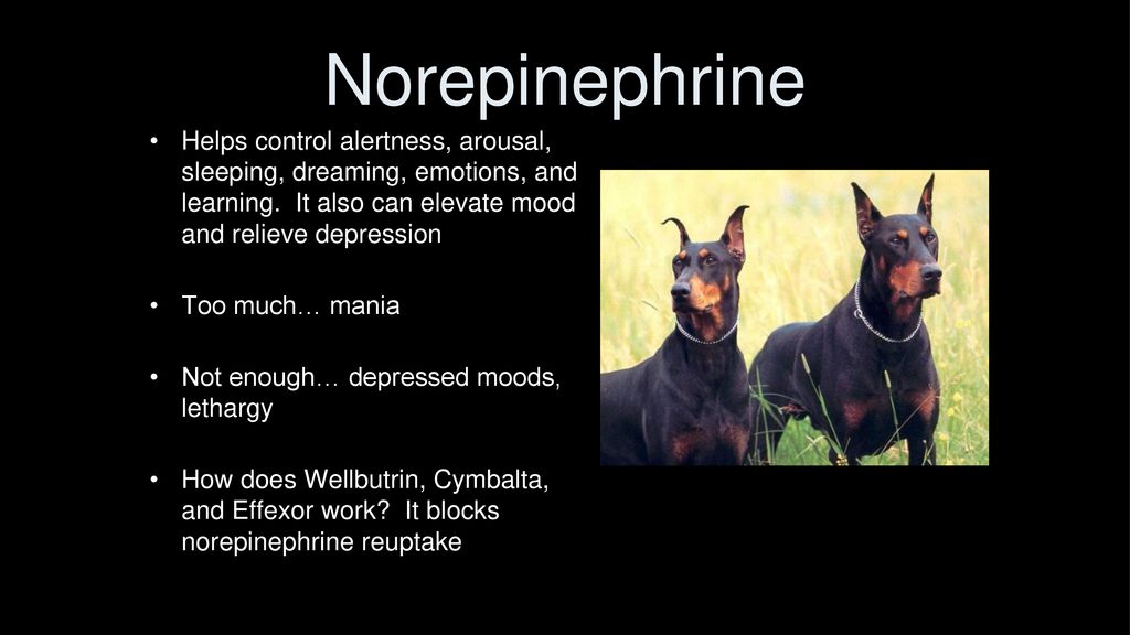 Norepinephrine Helps control alertness, arousal, sleeping, dreaming, emotions, and learning. It also can elevate mood and relieve depression.