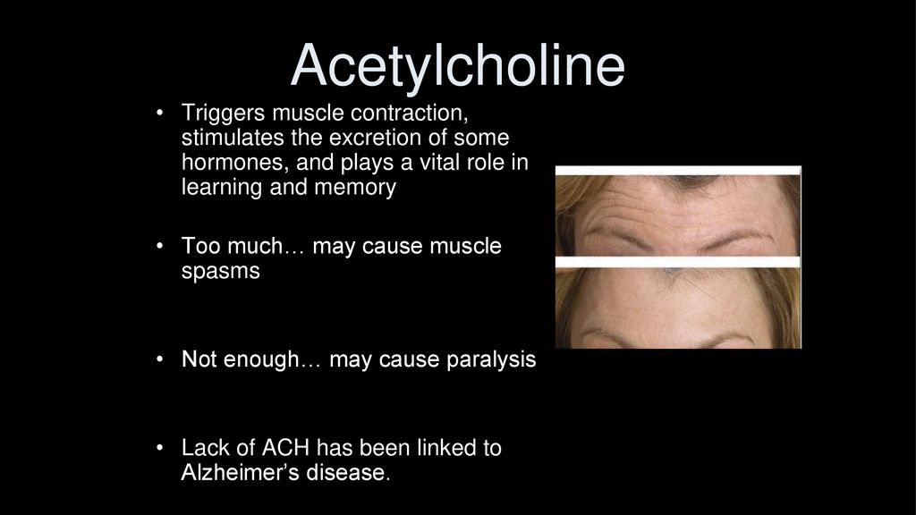 Acetylcholine Triggers muscle contraction, stimulates the excretion of some hormones, and plays a vital role in learning and memory.