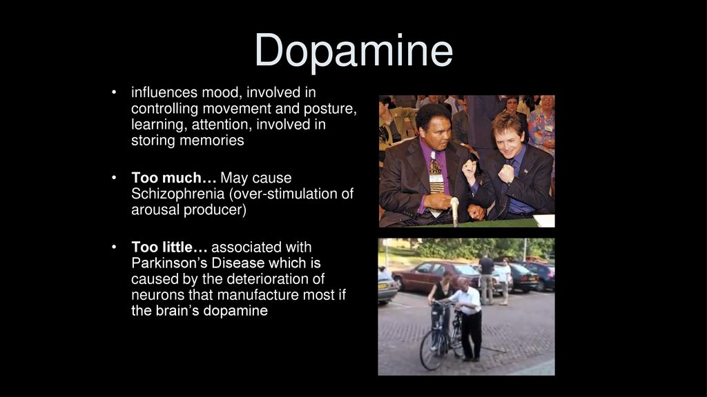Dopamine influences mood, involved in controlling movement and posture, learning, attention, involved in storing memories.