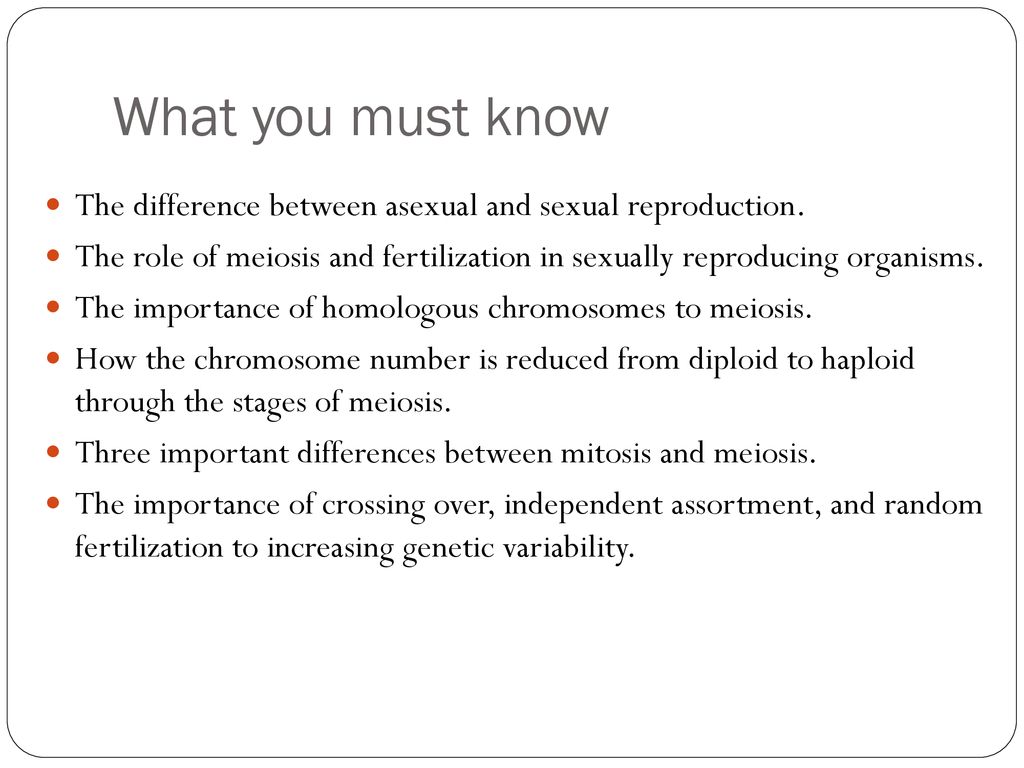 meiosis-sexual-life-cycles-ppt-download
