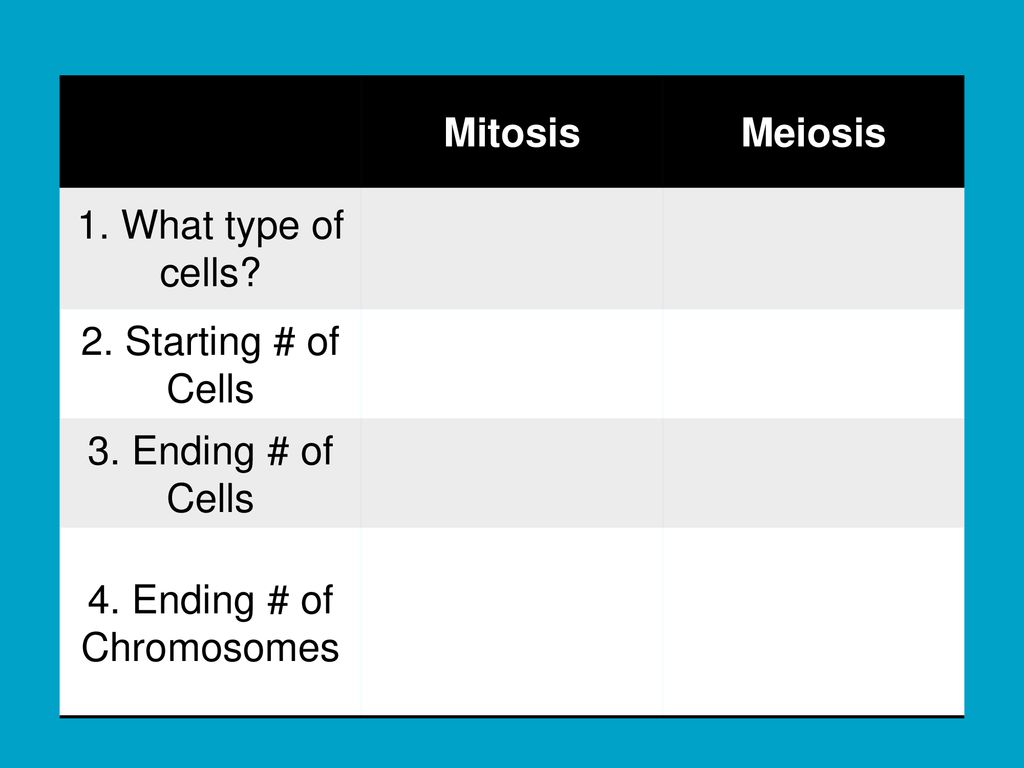 4. Ending # of Chromosomes