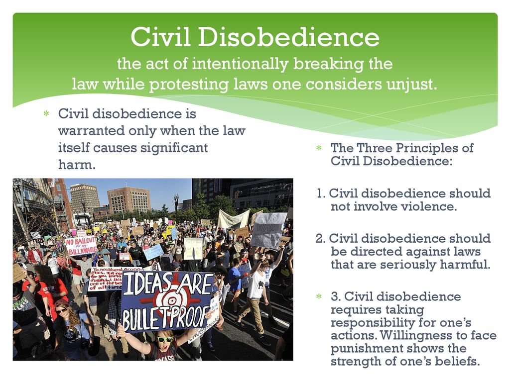 Government and its Citizens ppt download