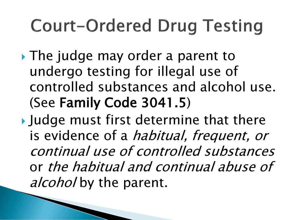 Child Custody & Child Support in Family Court ppt download Child Custody & Child Support in Family Court ppt download