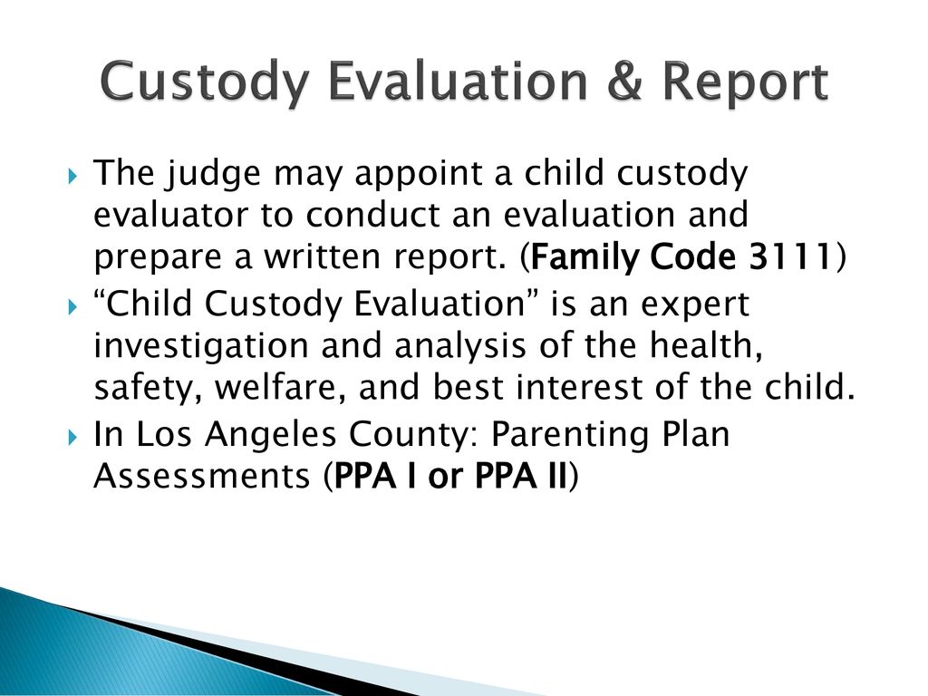Child custody child support in family court ppt download