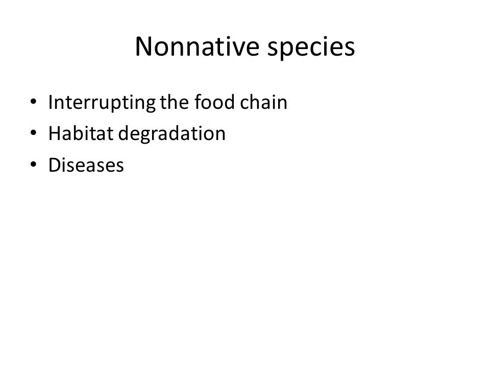 Nonnative species Interrupting the food chain Habitat degradation