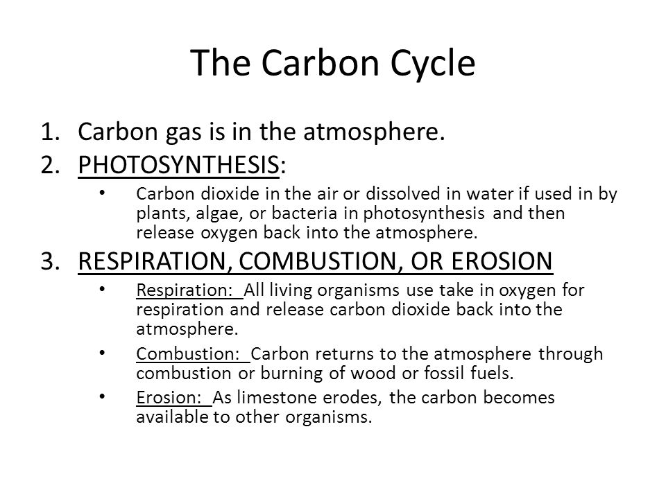 The Carbon Cycle Carbon gas is in the atmosphere. PHOTOSYNTHESIS: