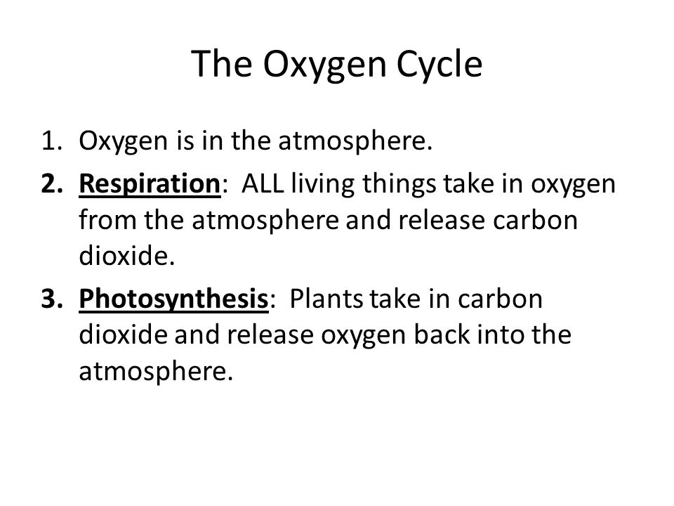 The Oxygen Cycle Oxygen is in the atmosphere.