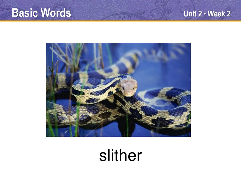 Key Words Unit 2 Week ppt download